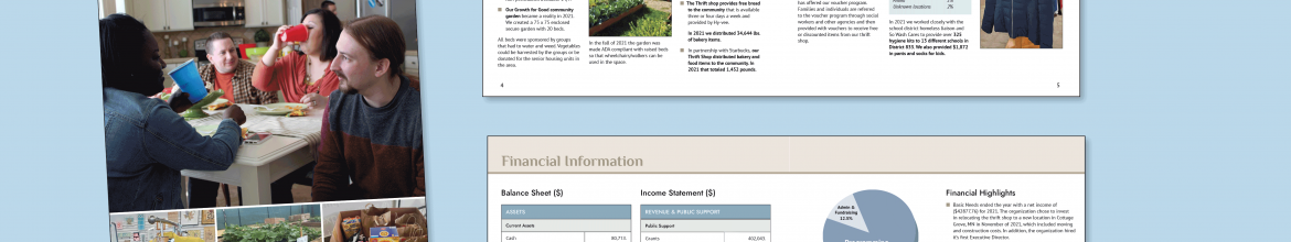 Basic Needs Annual Report